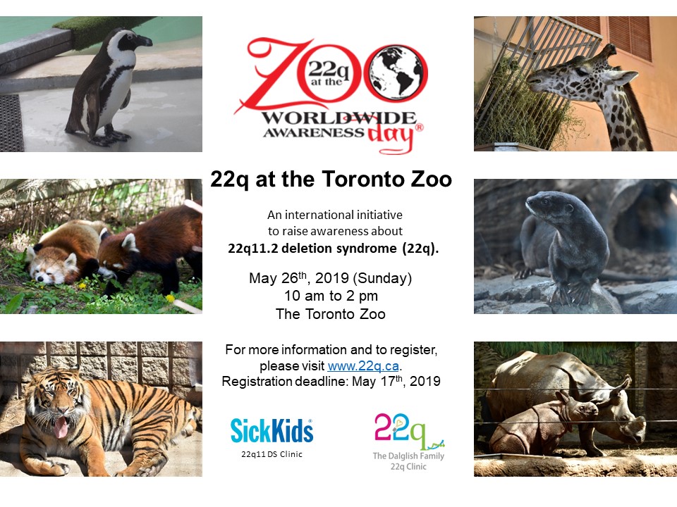 zoo day poster